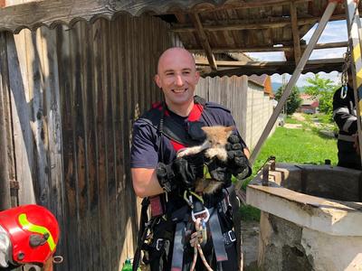 Un pui de pisică a căzut într-o fântână adâncă de 25 de metri, fiind salvat de pompierii din Braşov - VIDEO