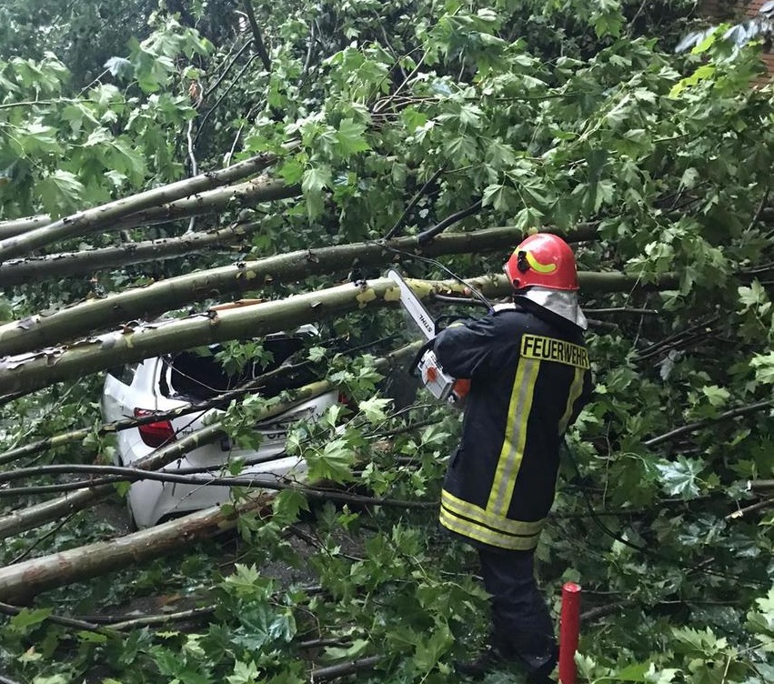 Tulcea: Patru maşini au fost avariate, după ce şapte copaci au fost doborâţi de vânt