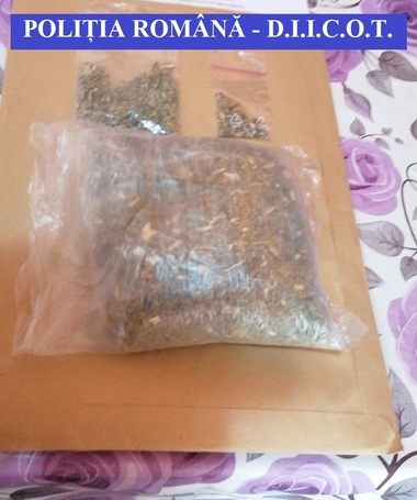 Gorj: Şapte persoane suspectate de trafic de droguri şi etnobotanice, reţinute/ Gruparea vindea drogurile în special adolescenţilor şi tinerilor, cu preţuri cuprinse între 30 şi 50 de lei pentru un plic