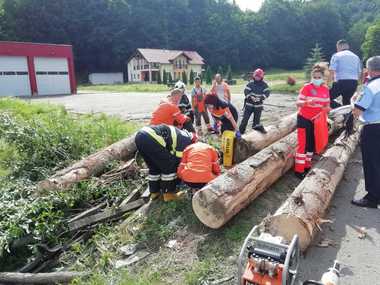 UPDATE - Suceava: Trei persoane au fost rănite, după ce mai mulţi buşteni au căzut dintr-un camion intrat în balans/ Între victime, un copil de 10 ani - FOTO