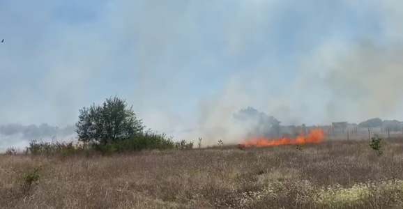 Incendiu de vegetaţie între Vama Veche şi 2 Mai/ Rulotele parcate în zonă nu sunt afectate - VIDEO