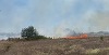 Incendiu de vegetaţie între Vama Veche şi 2 Mai/ Rulotele parcate în zonă nu sunt afectate - VIDEO
