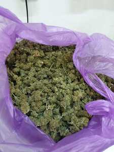 Mureş: 1,5 kilograme de cannabis şi haşiş, confiscate de poliţişti în urma unor percheziţii într-un dosar de trafic de droguri/ Un bărbat a fost arestat preventiv