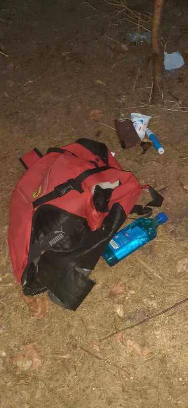 Harghita: Un turist a sunat la 112 după ce o ursoaică i-a luat rucsacul, la liziera pădurii din apropierea Lacului Sfânta Ana
