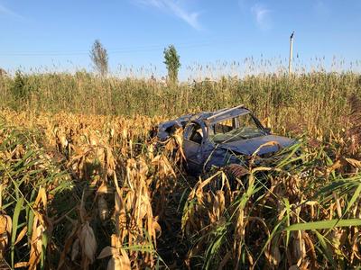 Vrancea: Doi tineri din Ilfov, găsiţi morţi într-o maşină aflată într-un lan de porumb/ Trupurile au fost găsite de un bărbat care lucra în zonă