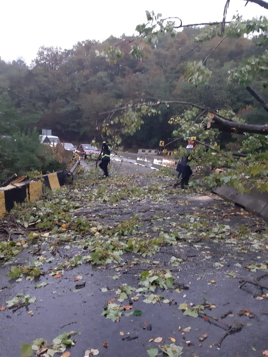 Drumuri blocate de copacii doborâţi de vânt în judeţul Vâlcea - FOTO, VIDEO