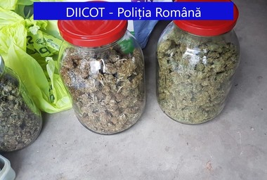 Trei bărbaţi, arestaţi preventiv în urma unor percheziţii făcute de DIICOT Galaţi într-un dosar de trafic de droguri de mare risc/ Colet cu un kilogram de marijuana, confiscat