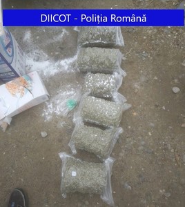 Maramureş: Bărbat prins când ridica de la o firmă de curierat un colet cu peste şase kilograme de droguri, în valoare de 43.000 de euro, reţinut