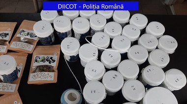 Percheziţii la Iaşi şi Oradea, la firme care comercializau produse din cannabis