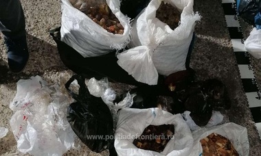 Aproximativ 250 kg de pietre semipreţioase, presupuse a fi chihlimbar, depistate la frontiera cu Ucraina - VIDEO. FOTO