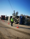 Un TIR care transporta porci s-a răsturnat pe DN 23A, în Vrancea/ Şoferul a fost rănit - FOTO