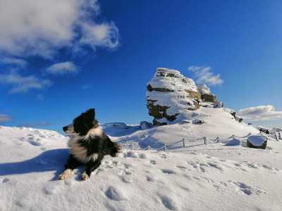 Risc ridicat de avalanşă în zona montană din sudul ţării, la altitudini de peste 1800 de metri
