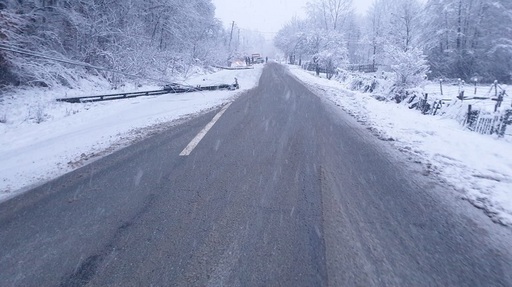 Trafic perturbat pe DN 67 Râmnicu Vâlcea – Târgu Jiu din cauza unor stâlpi şi a unui copac căzuţi pe carosabil - FOTO