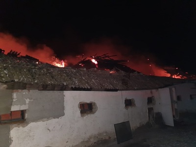 Botoşani: Adăpost de la o fermă de păsări, distrus într-un incendiu. Şase mii de pui au murit - FOTO
