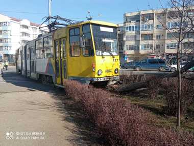 UPDATE - Un tramvai a ieşit complet de pe şine, lovind un autoturism şi oprindu-se într-un copac dintr-un parc, la Ploieşti/ O femeie a fost transportată la spital/ Circulaţia tramvaielor pe principala linie din oraş a fost blocată - FOTO, VIDEO