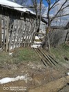 Locuitorii unei comune din Buzău se plâng că sunt terorizaţi de urşi, animalele intrând deseori în gospodării / Localnicii suspectează chiar că un bărbat ar fi fost devorat de sălbăticiuni - FOTO