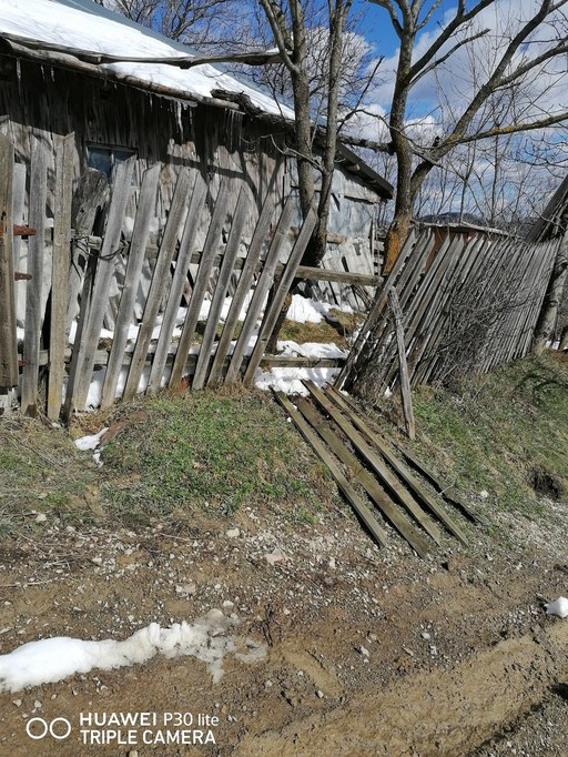 Locuitorii unei comune din Buzău se plâng că sunt terorizaţi de urşi, animalele intrând deseori în gospodării / Localnicii suspectează chiar că un bărbat ar fi fost devorat de sălbăticiuni - FOTO