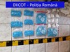 Constanţa: 18 percheziţii la o grupare specializată în trafic de droguri. Anchetatorii au ridicat mai multe tipuri de droguri, printre care cannabis, cocaină, ecstasy/ Şase persoane, reţinute - VIDEO