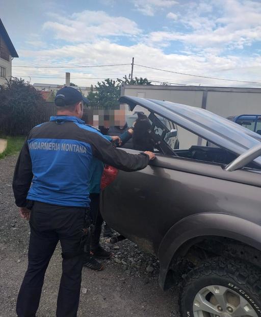 Argeş: Pui de urs rănit, salvat în urma unui apel la 112. Animalul a fost găsit pe marginea unui drum, având picioarele din spate fracturate - VIDEO
