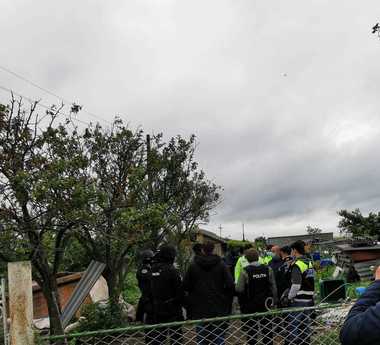 Constanţa: Aproximativ 150 de câini şi pisici ţinuţi în condiţii improprii într-un adăpost improvizat de animale - FOTO / VIDEO
