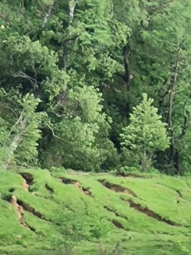 Alunecare masivă de teren în judeţul Buzău - FOTO