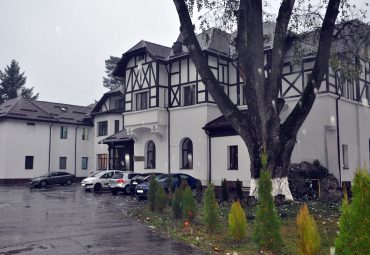 Prahova: Un urs a intrat în curtea Spitalului de Psihiatrie Voila