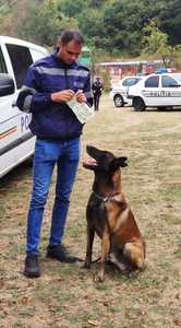 Argeş: Femeie dată dispărută de familie, găsită în scurt timp cu ajutorul unui câine de urmă al Poliţiei