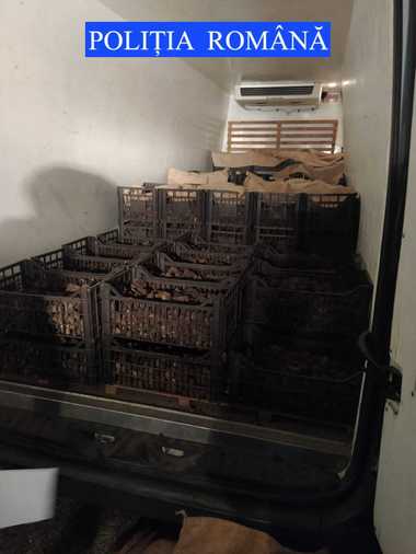 Aproape 1.200 de kilograme de trufe negre, în valoare de 600.000 de lei, confiscate de poliţiştii din Neamţ de la un bărbat care nu avea acte pentru marfă - VIDEO