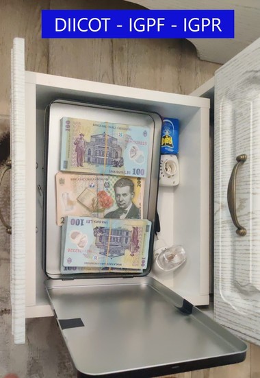 Percheziţii ale poliţiştilor şi procurorilor DIICOT la o grupare specializată în spălare de bani şi fraude informatice/ Printre părţile vătămate sunt instituţii şi autorităţi publice/ La audieri vor fi duse aproximativ 380 de persoane - VIDEO