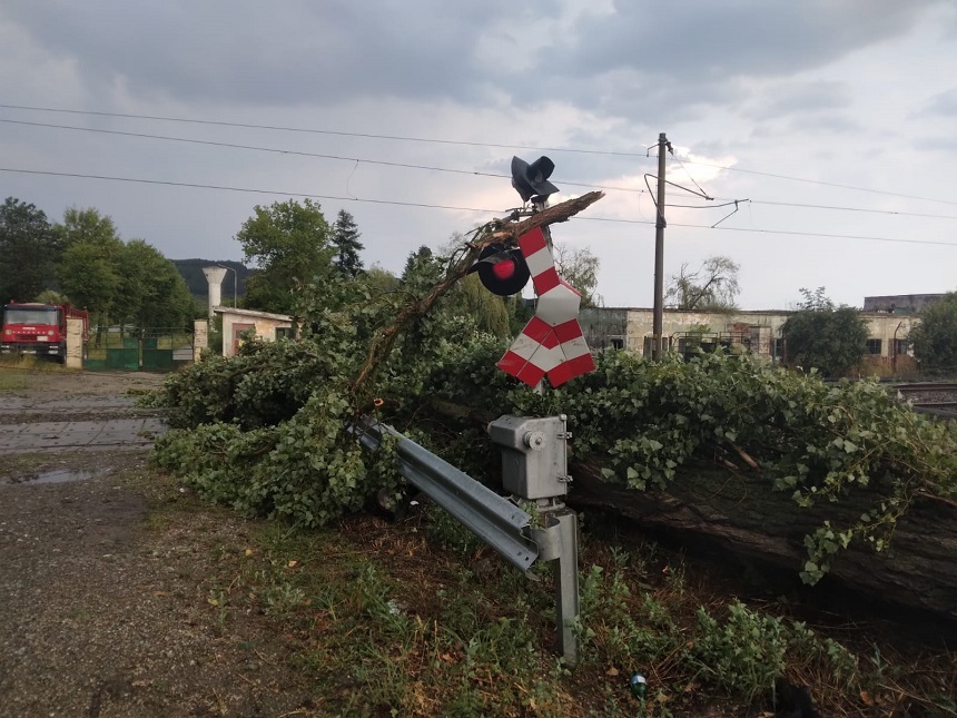 UPDATE - Copac prăbuşit pe calea ferată între Iclod şi Bonţida, unde traficul feroviar se desfăşoară cu locomotive diesel / În Braşov, circulaţia e blocată după prăbuşirea mai multor pomi / Şi pe raza regionalelor Iaşi şi Bucureşti sunt probleme - FOTO

