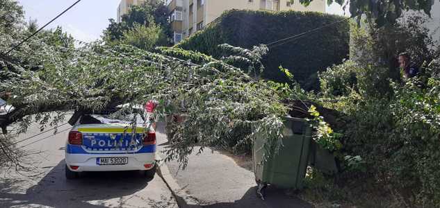 Prahova: Copac căzut peste o maşină de Poliţie