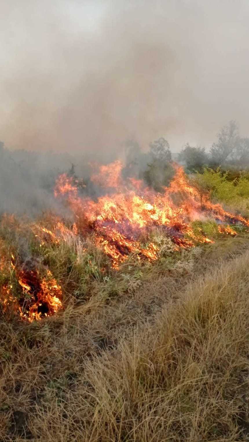 Mehedinţi: Incendiul de vegetaţie extins la gospodării a fost stins / Au fost afectate patru case, 17 anexe gospodăreşti, o maşină, cimitirul şi 2 hectare de litieră

