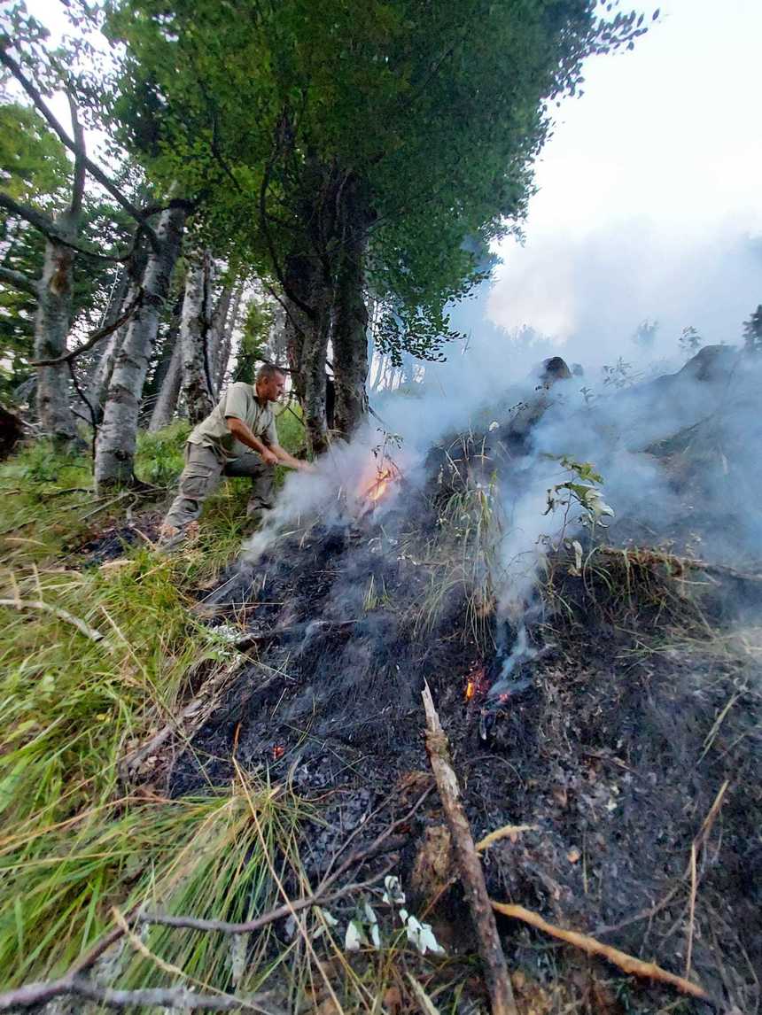 Vâlcea: Incendiu de pădure în Munţii Căpăţânii. Patru hectare de copaci tineri au fost cuprinse de flăcări - FOTO, VIDEO