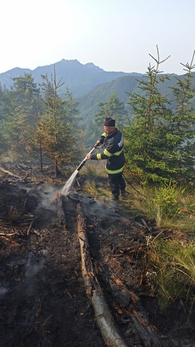 Vâlcea: Incendiul din Muntele Căpăţânii a fost localizat. Echipele de intervenţie acţionează pentru stingerea mai multor focare - FOTO
