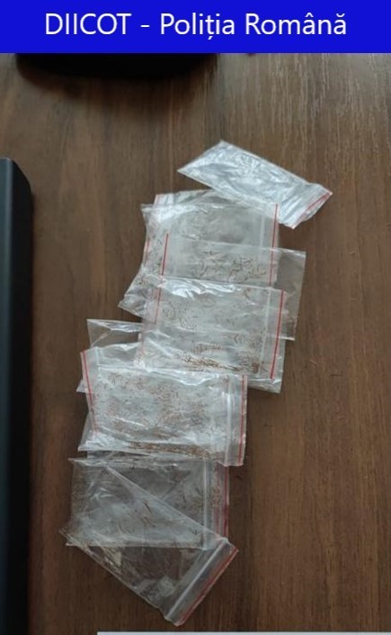 Braşov: Doi bărbaţi arestaţi preventiv pentru trafic de droguri şi ucidere din culpă, într-un dosar penal deschis după decesul unui tânăr de 21 de ani/ Legiştii au constatat că acesta a murit din cauza drogurilor