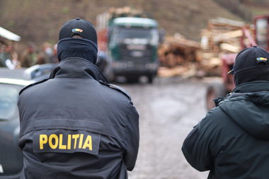 Cinci persoane, reţinute după percheziţiile făcute în Bistriţa-Năsăud, în dosarul vizând tăieri ilegale de arbori/ Angajaţi ai unui ocol silvic, suspectaţi că erau implicaţi în exploatarea ilegală a lemnului - VIDEO