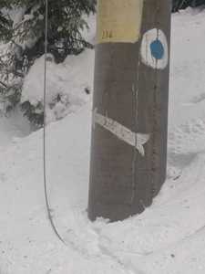 Suceava: Arbori doborâţi de vânt pe linia de tensiune din zona drumului forestier Pietrele Doamnei/ Salvamontiştii recomandă precauţie maximă întrucât firele sunt pe jos, prin zăpadă