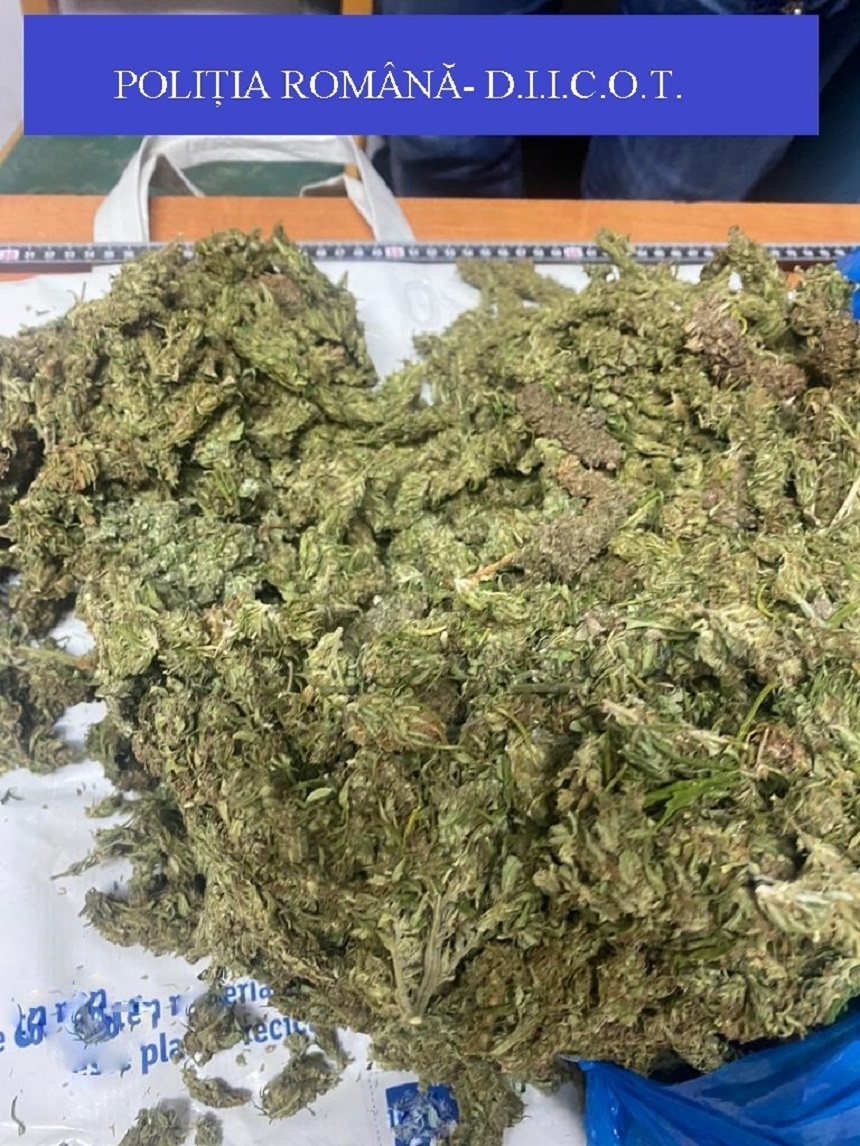 Satu Mare - Două persoane, prinse  în timp ce intenţionau să comercializeze 2,5 kilograme de muguri de cannabis, pentru suma de 9.250 de euro