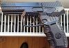 Vâlcea: Un bărbat a reclamat că un adolescent a tras cu un pistol către fiul său, în vârstă de 15 ani. Poliţia face cercetări