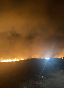 Buzău: Incendii de vegetaţie în localităţile Luciu şi Heliade Rădulescu, amplificate de vântul puternic - VIDEO