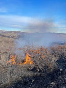 Zeci de mii de metri pătraţi de teren, cuprinşi de incendii de vegetaţie uscată. În Prahova, focul a afectat o plantaţie de cătină şi una de nuci