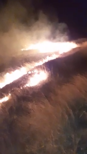 Prahova: Un incendiu de vegetaţie uscată s-a extins pe mai bine de 40 de hectare de teren. Focul a distrus şi două panouri fotovoltaice - VIDEO