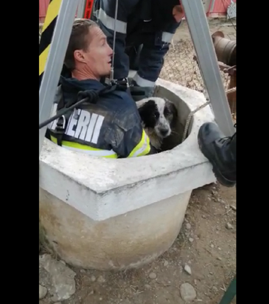 Prahova: Căţel căzut într-o fântână, la 25 de metri adâncime, salvat de către pompieri  - VIDEO
