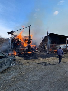 Vrancea - Incendiu la o fermă, fiind afectată o suprafaţă de 500 de metri pătraţi - FOTO