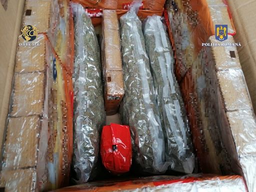 Doi bărbaţi au fost prinşi de poliţiştii constănţeni după ce au primit 11 kilograme de cannabis. Drogurile proveneau din Spania şi fuseseră aduse în ţară de o firmă de curierat