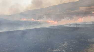 Prahova: Incendiu de vegetaţie în apropierea unei căi ferate pe care sunt garate 20 de vagoane încărcate cu benzină