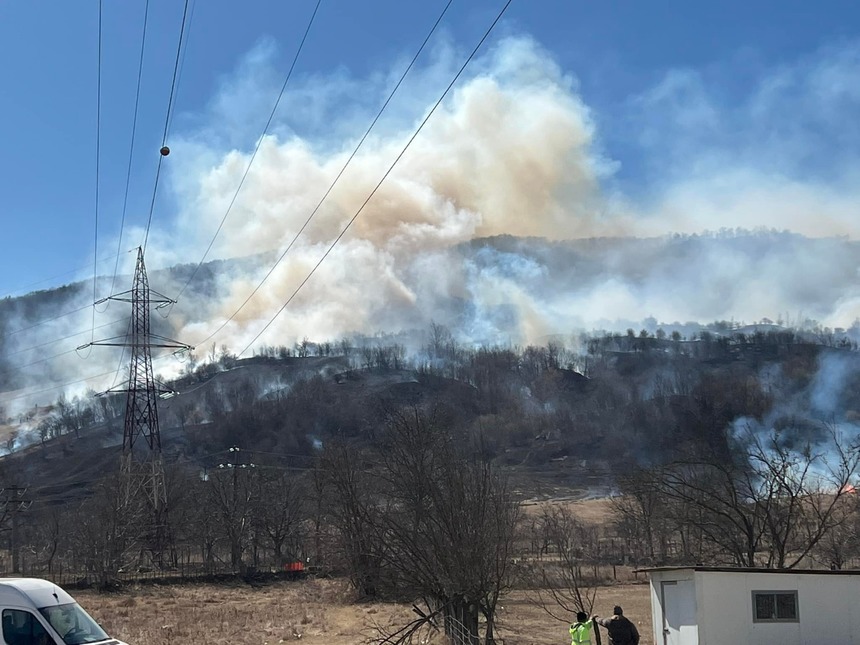 Buzău: Incendiu de vegetaţie uscată, propagat în litiera unei păduri  
