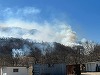 Bărbat din Buzău, amendat cu 5.000 de lei pentru incendierea unui teren / El a dat foc unei pajişti, dar flăcările au cuprins vegetaţia de pe cinci hectare / Amendă şi în Vrancea 