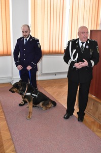 Rik, un câine de urmă care a activat zece ani în Poliţia Judeţeană Buzău, s-a pensionat