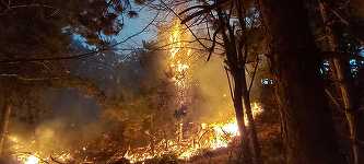 A fost solicitat sprijin aerian pentru stingerea incendiului de pe dealurile din Breaza / Flăcările au ajuns şi la parcul de antene şi relee de pe Vârful Istriţa - FOTO / VIDEO
